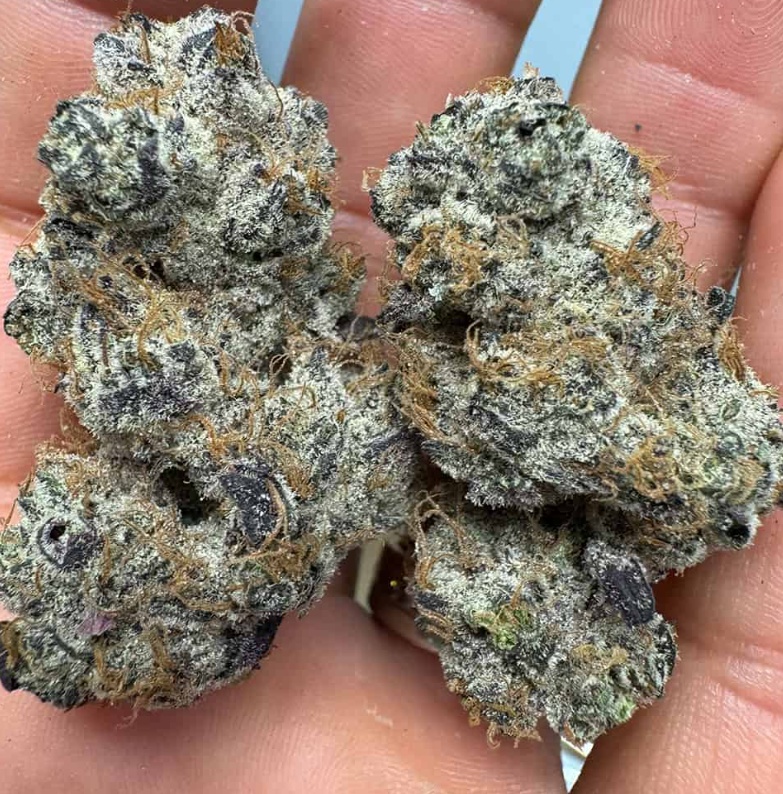 Purple VooDoo THCA Flower