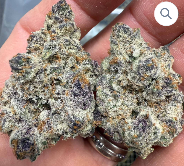 Gary Runtz THCA Flower